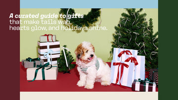 Prynwan’s Gift Edit: Wrapped in Style