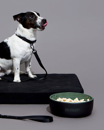 Tone on tone Ceramic Bowl ชามอาหารเซรามิก