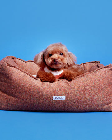 Bolster Bed เตียงนอน