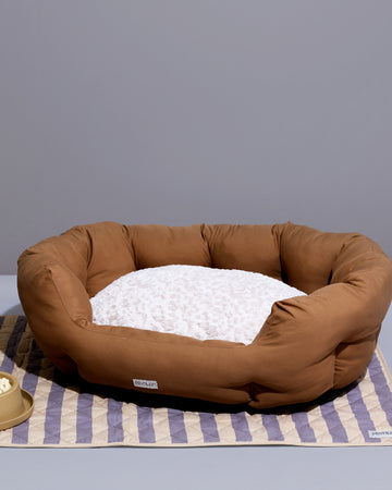 Polyester Pets Bed | ที่นอน สุนัข