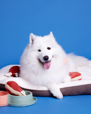 Bolster Bed เตียงนอน