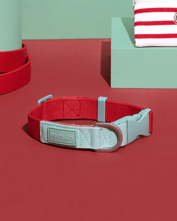 Two Tone Quick Release Collar ปลอกคอ
