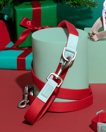 Two tone Adjustable Leash	สายจูง
