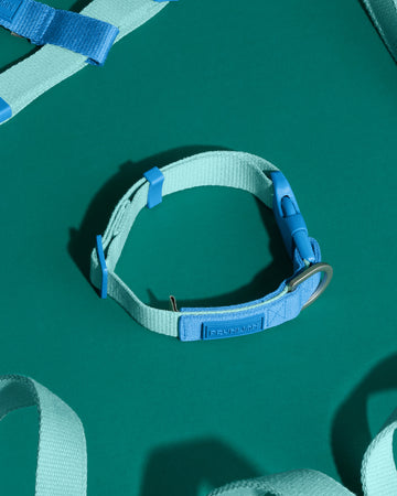 Two Tone Quick Release Collar ปลอกคอ