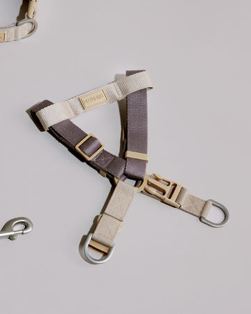 Two tone Step-in Harness สายรัดอก