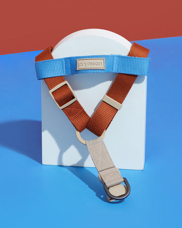 Step-in Harness สายรัดอก