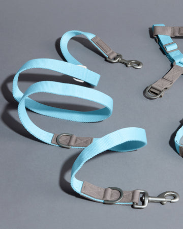 Two tone Adjustable Leash	สายจูง