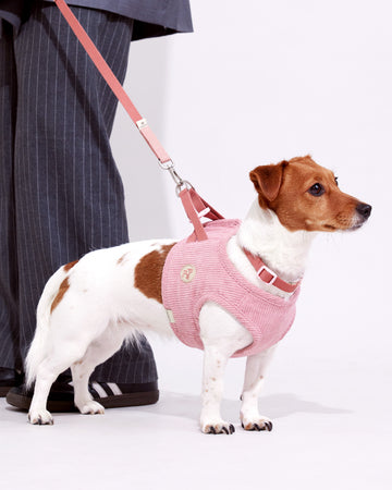 Adjustable Leash สายจูง