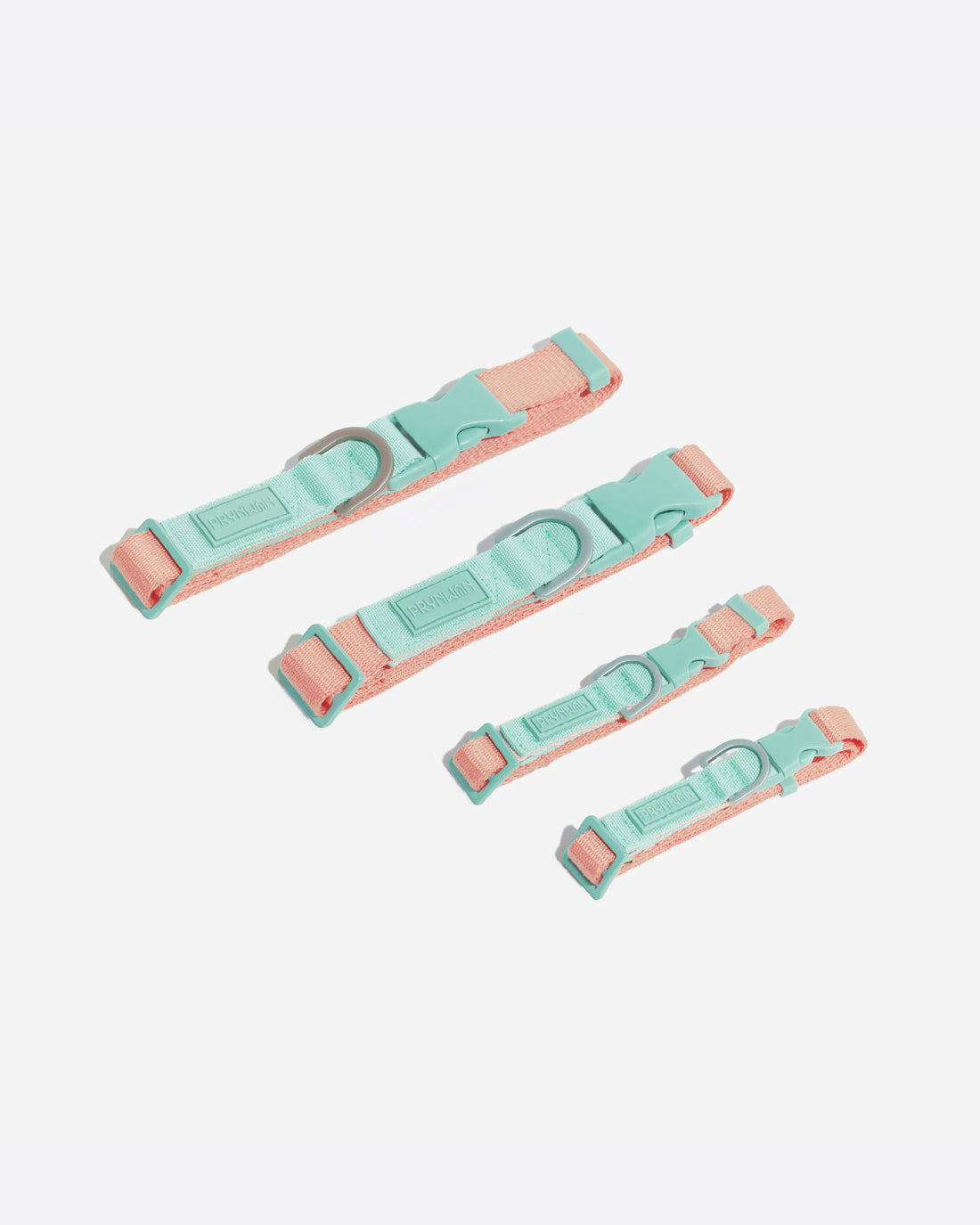 Two Tone Quick Release Collar ปลอกคอ