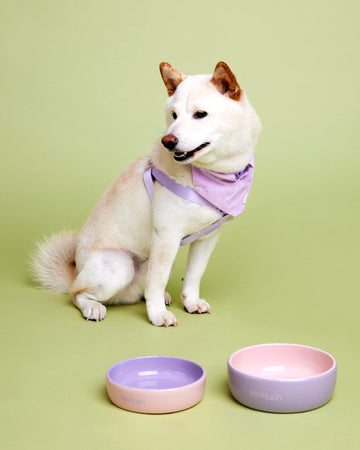 Tone on tone Ceramic Bowl ชามอาหารเซรามิก