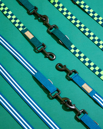 Prynometry Short Leash สายจูง