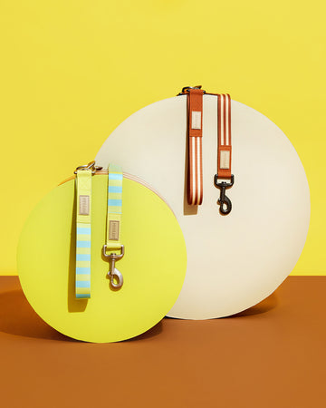 Prynometry Short Leash สายจูง