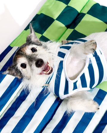 Prynometry Travel Mat ผ้าปูรองนอน