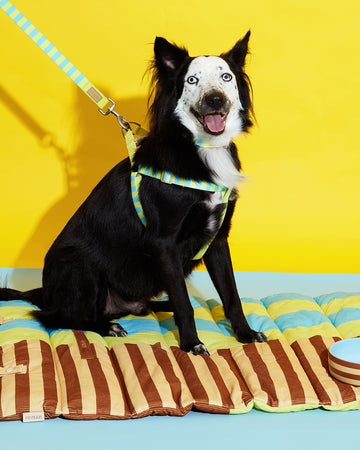 Prynometry Travel Mat ผ้าปูรองนอน