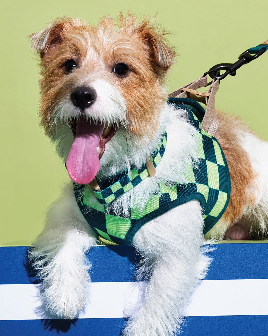 Prynometry Step-In Vest เสื้อกั๊ก