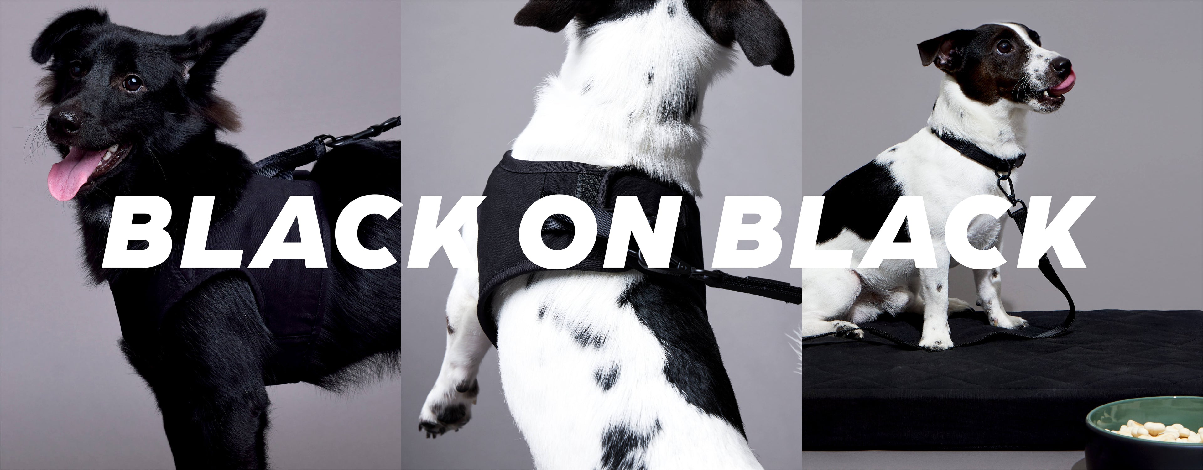 slider image slider_item_DjxmX4