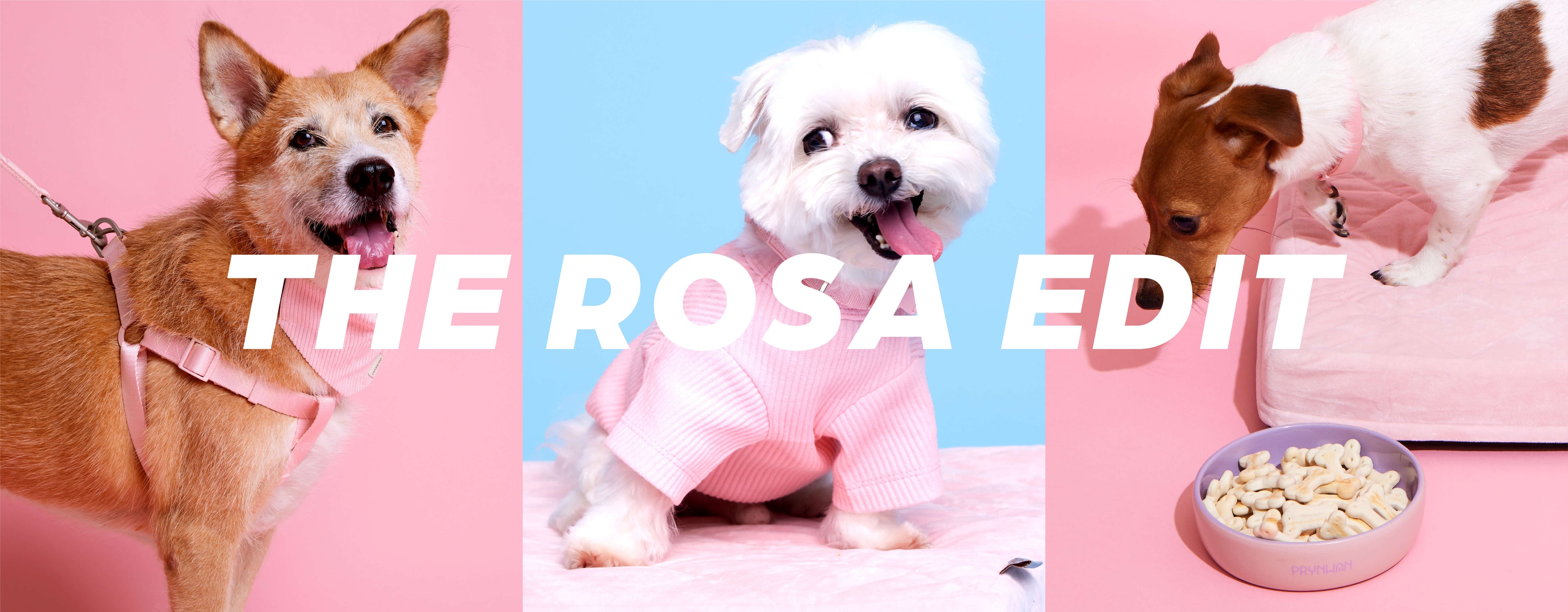 slider image slider_item_ifdBMa