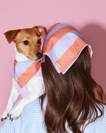 Prynometry Duo Bandana ผ้าพันคอ