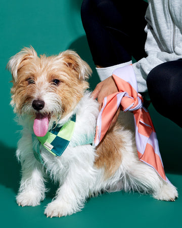 Prynometry Duo Bandana ผ้าพันคอ