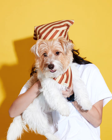 Prynometry Duo Bandana ผ้าพันคอ