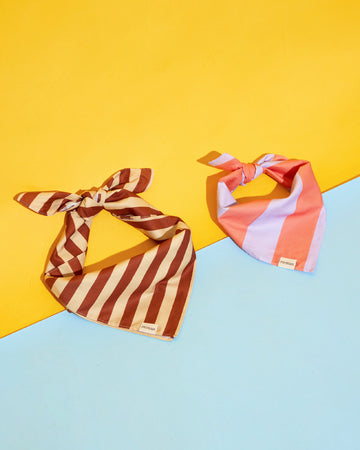 Prynometry Duo Bandana ผ้าพันคอ