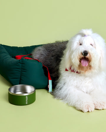 Tone on tone Stainless steel Bowl ชามอาหาร