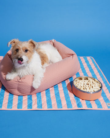 Tone on tone Stainless steel Bowl ชามอาหาร