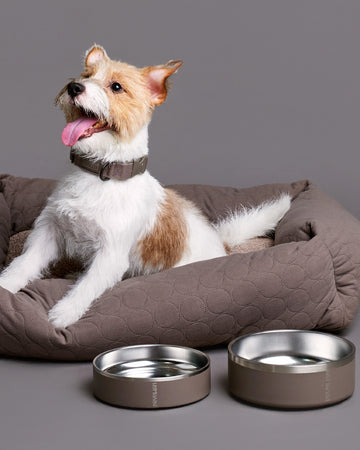 Tone on tone Stainless steel Bowl ชามอาหาร