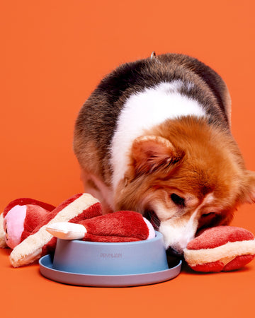 Tone on tone Single Bamboo Bowl ชามอาหาร