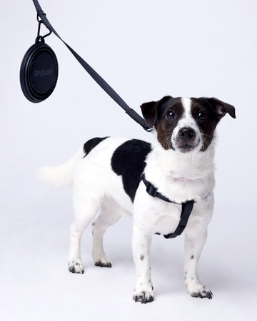 Tone on tone Travel Bowl ชามอาหาร