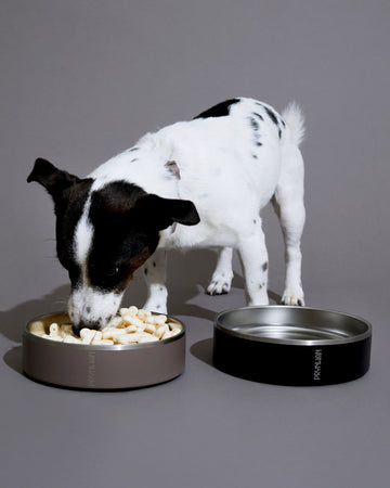 Tone on tone Stainless steel Bowl ชามอาหาร