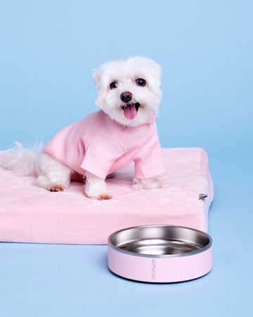 Tone on tone Stainless steel Bowl ชามอาหาร