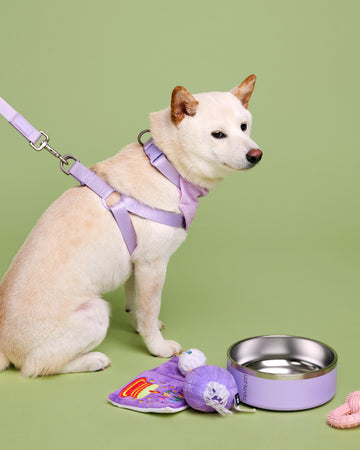 Tone on tone Stainless steel Bowl ชามอาหาร