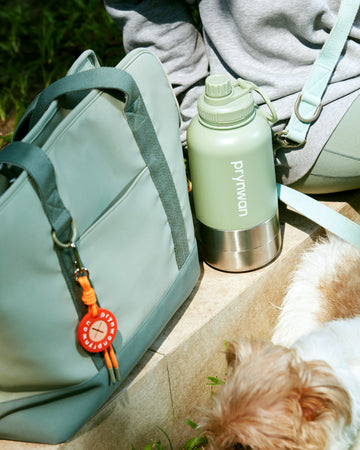 CARRIER BAG กระเป๋า