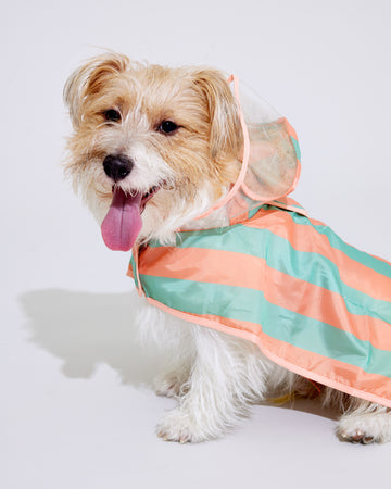 Two tone Poncho Raincoat เสื้อคลุมกันฝน