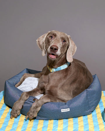 Round Bed เตียงนอน