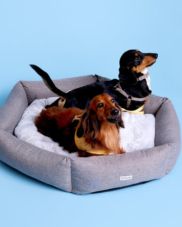 Round Bed เตียงนอน