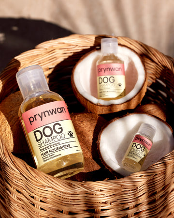 Hair Nourishing Shampoo แชมพู