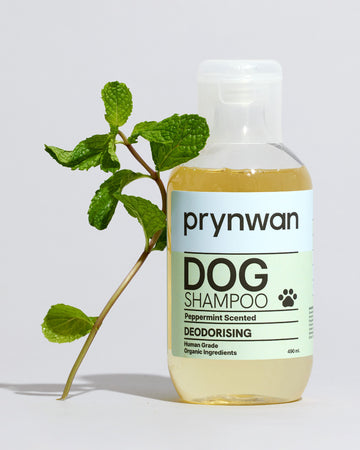 Deodorizing Shampoo แชมพู