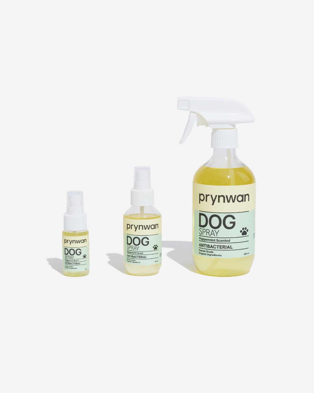 Antibacterial Spray สเปรย์