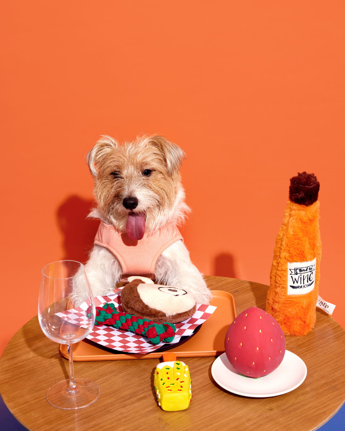 PAWTY ALL THE WAY