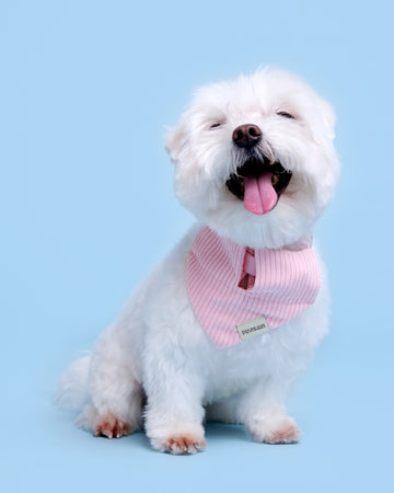 Tone on tone Triangle Bandana ผ้าพันคอ