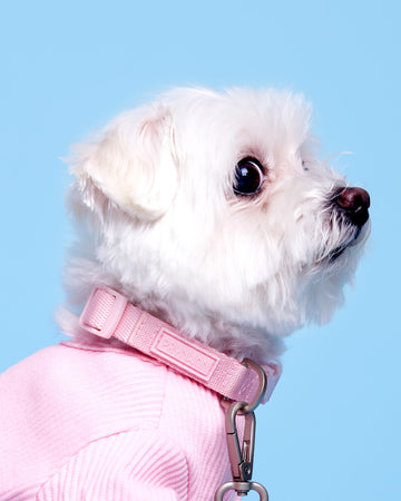 Tone On Tone Quick Release Collar ปลอกคอ