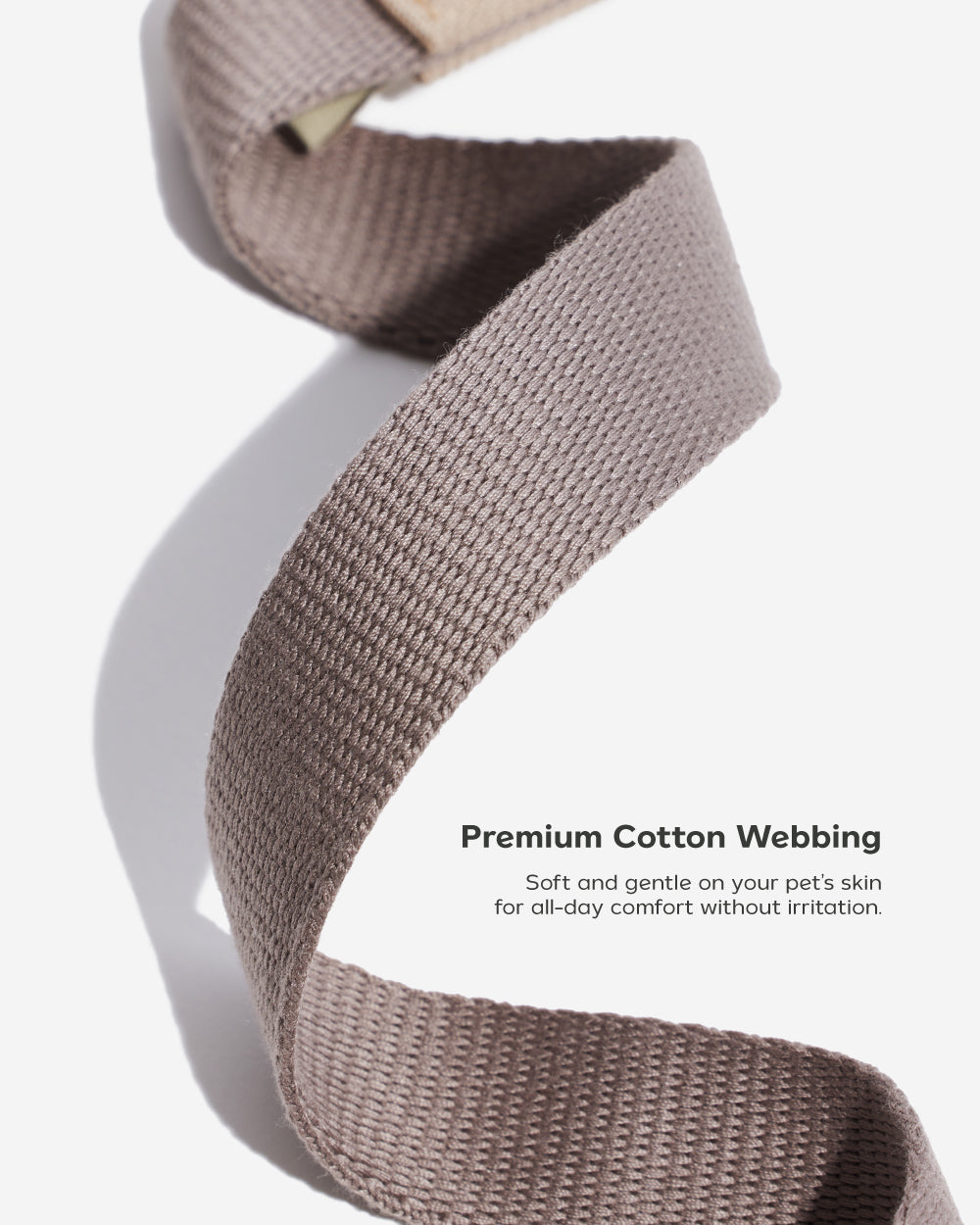 Two Tone Quick Release Collar ปลอกคอ