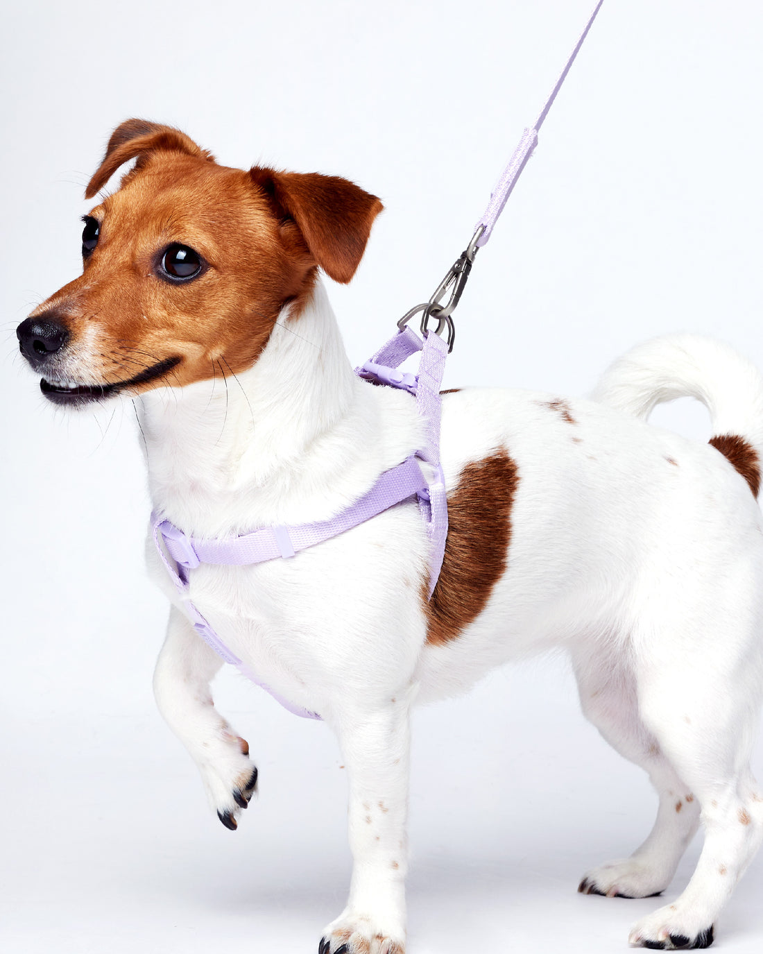 Tone on tone Step-in Harness สายรัดอก