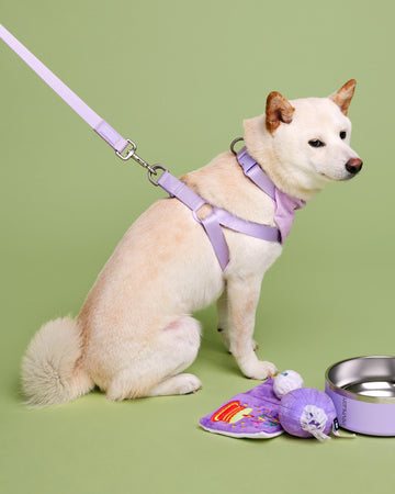 Tone on tone Step-in Harness สายรัดอก