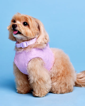 Tone on Tone Step-In Vest เสื้อกั๊ก