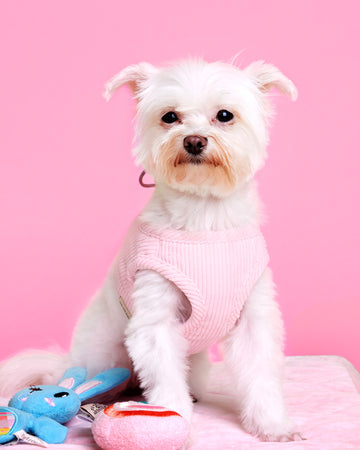 Tone on Tone Step-In Vest เสื้อกั๊ก