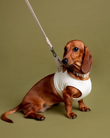 Tone on tone Adjustable Leash สายจูง