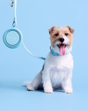 Tone on tone Adjustable Leash สายจูง